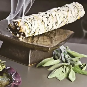 Encens de sauge blanche pour purification et bien-être