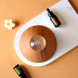 Diffuseur moderne pour une ambiance parfumée naturelle