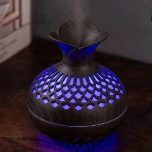 Diffuseur ultrasonique pour ambiance zen